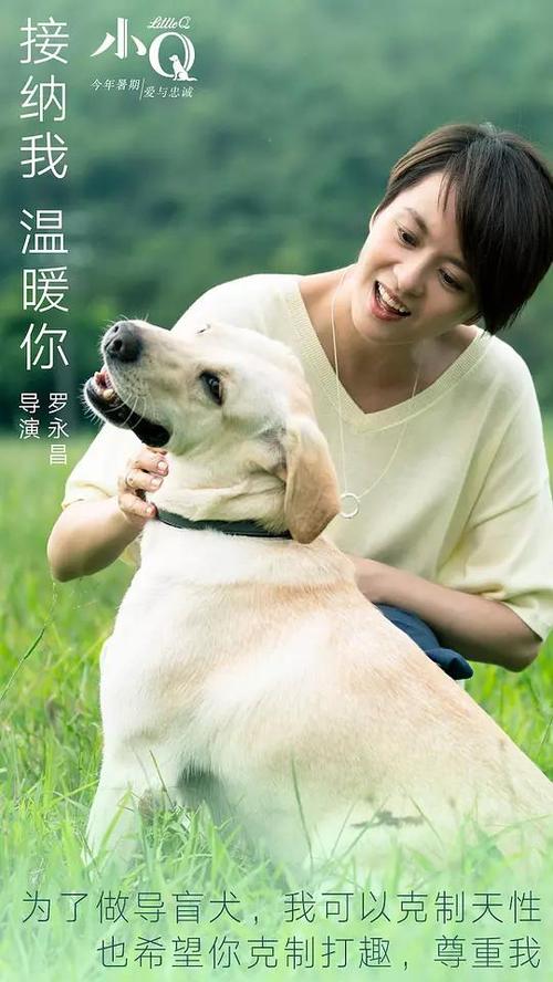 日本薬科大学degree